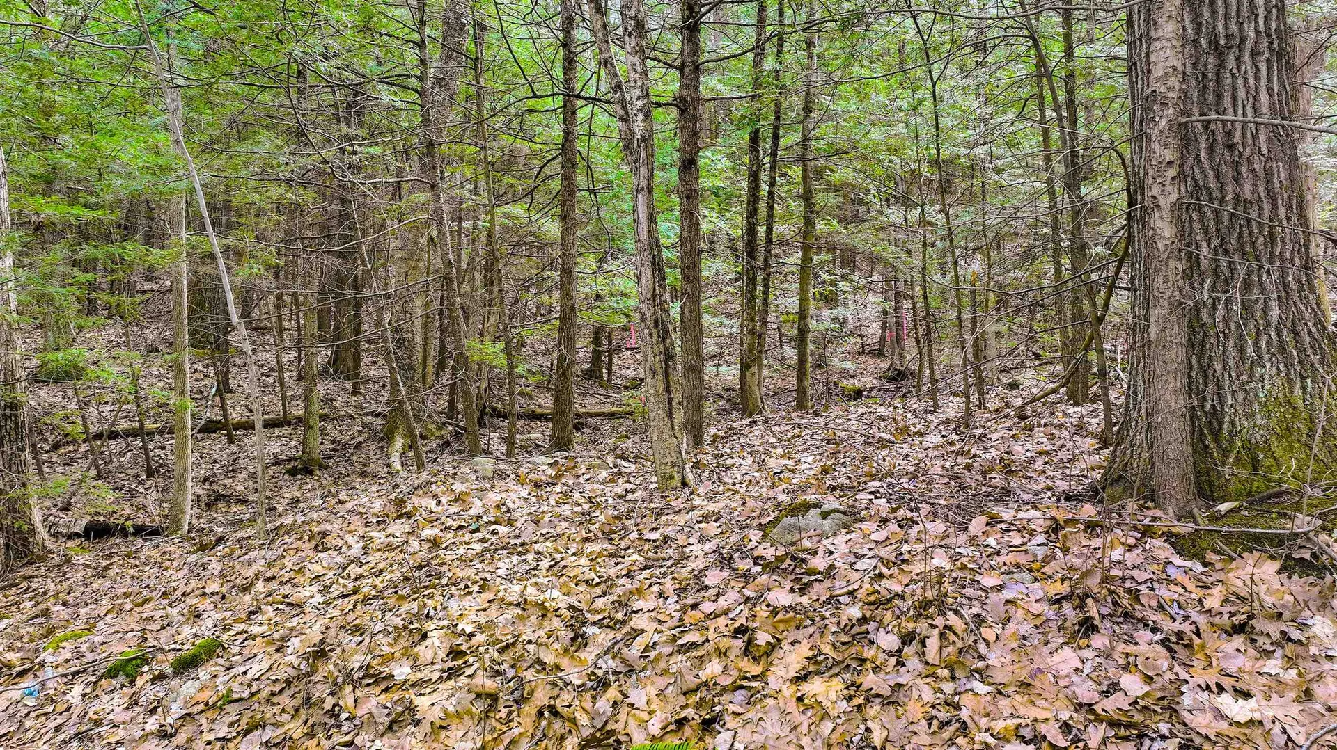 103 Wason Road Hudson NH 03051