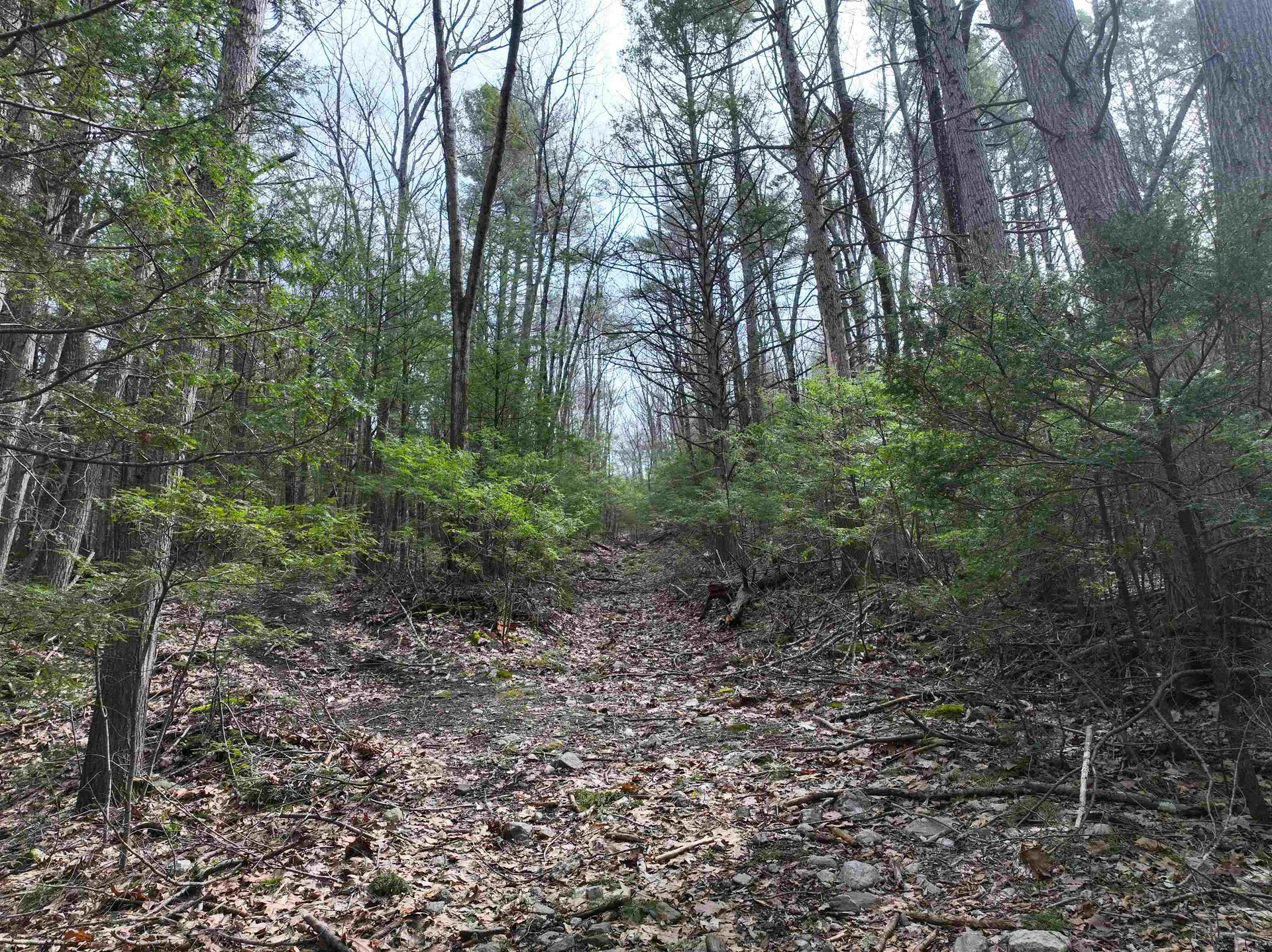 103 Wason Road Hudson NH 03051