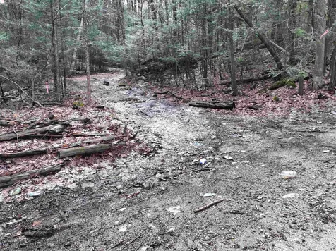 103 Wason Road Hudson NH 03051