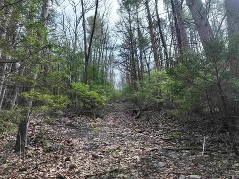 103 Wason Road Hudson NH 03051