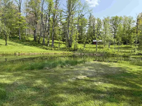 81 Tarbellville Road Mount Holly VT 05730