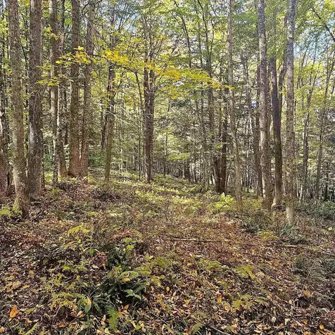 00 Tarbell Hill Road Weathersfield VT 05151