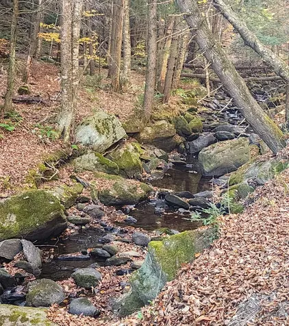 00 Tarbell Hill Road Weathersfield VT 05151