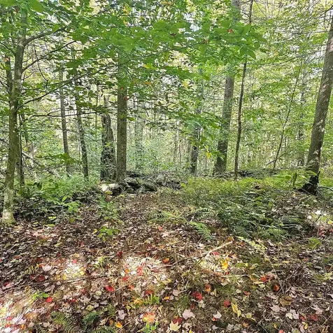 00 Tarbell Hill Road Weathersfield VT 05151