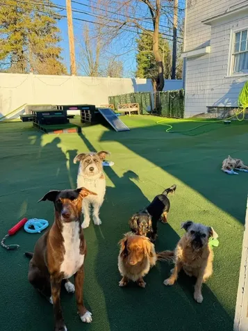 1 Hardy Street Nashua NH 03064