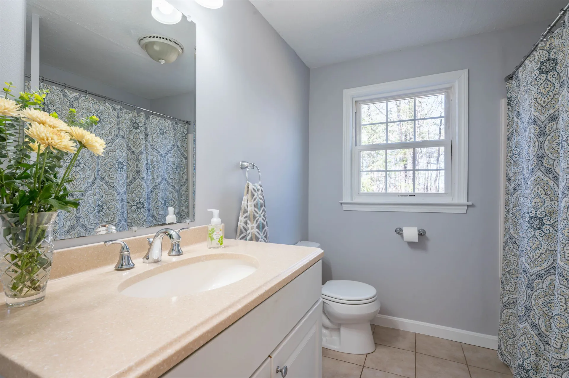 14 Flagg Lane Milford NH 03055