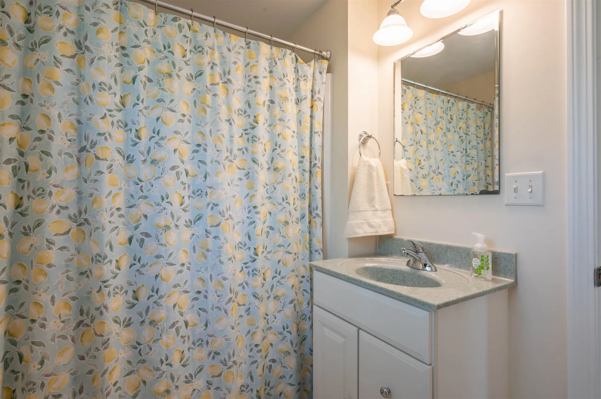 14 Flagg Lane Milford NH 03055