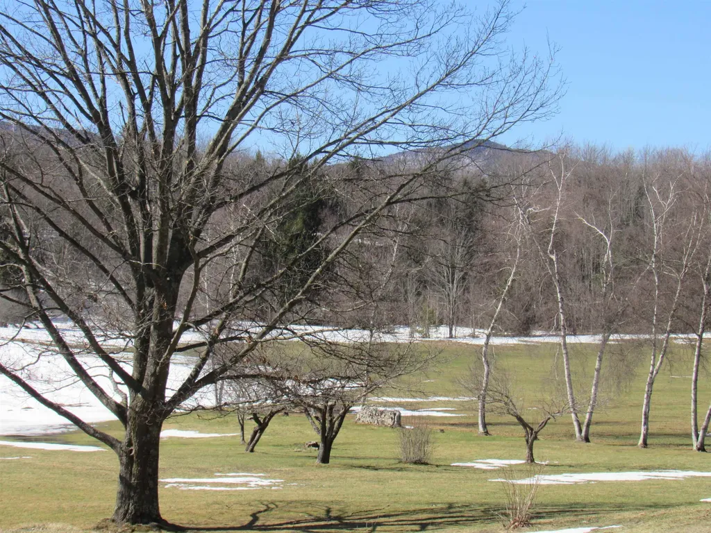 3322 Route 100 Westfield VT 05874