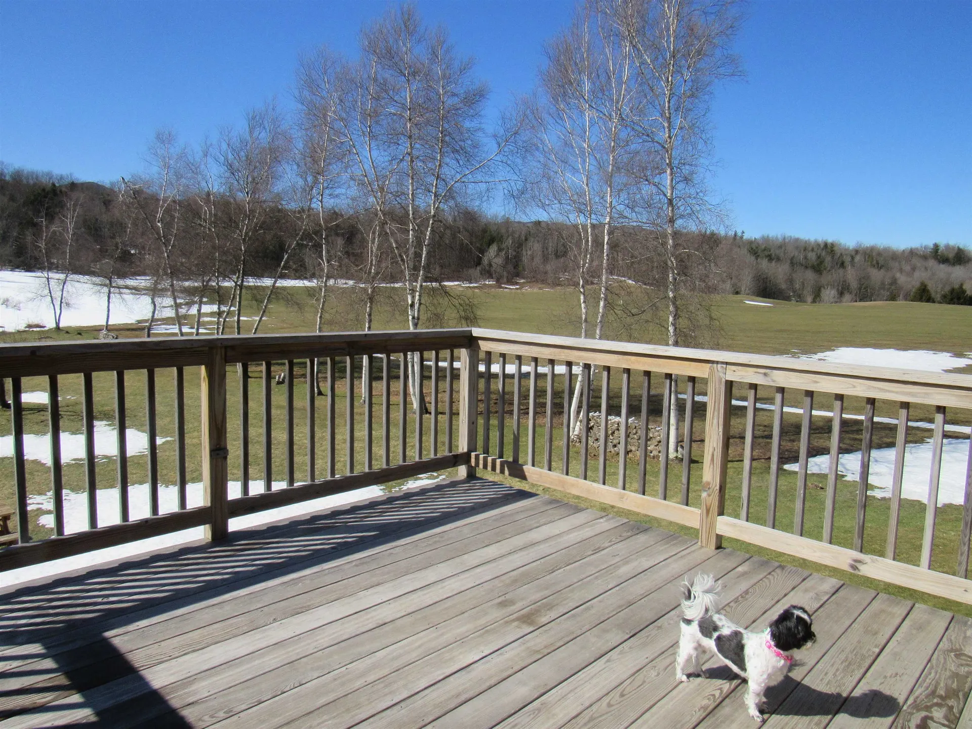 3322 Route 100 Westfield VT 05874