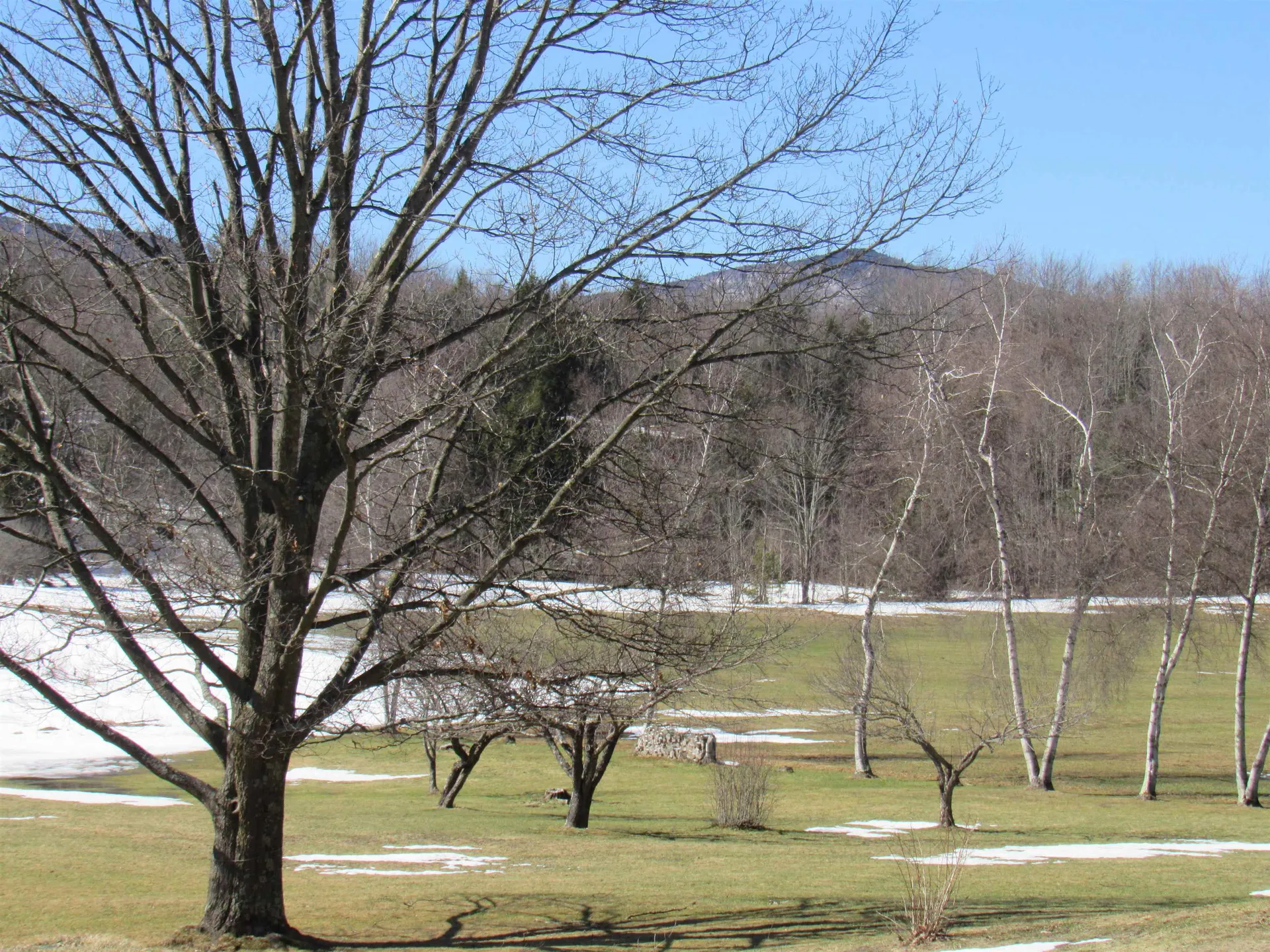 3322 Route 100 Westfield VT 05874