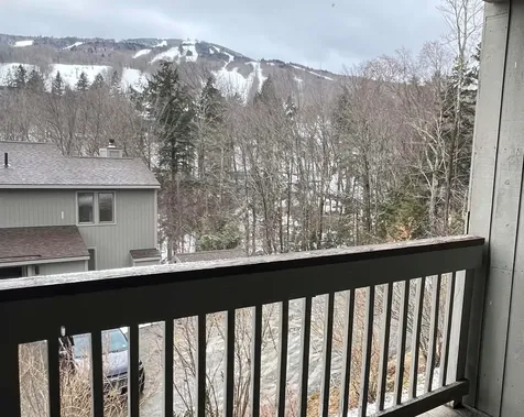 17 F Snow Tree Lane Dover VT 05356