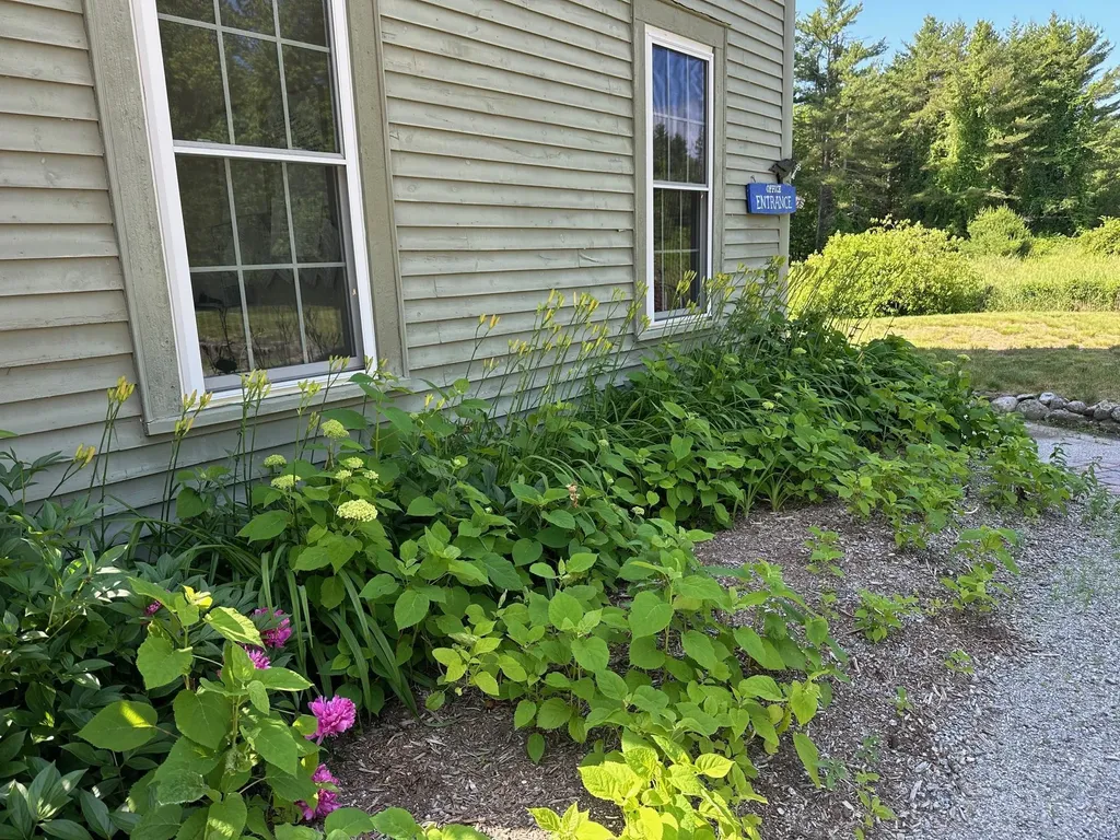 298 Second Nh Turnpike Hillsborough NH 03244