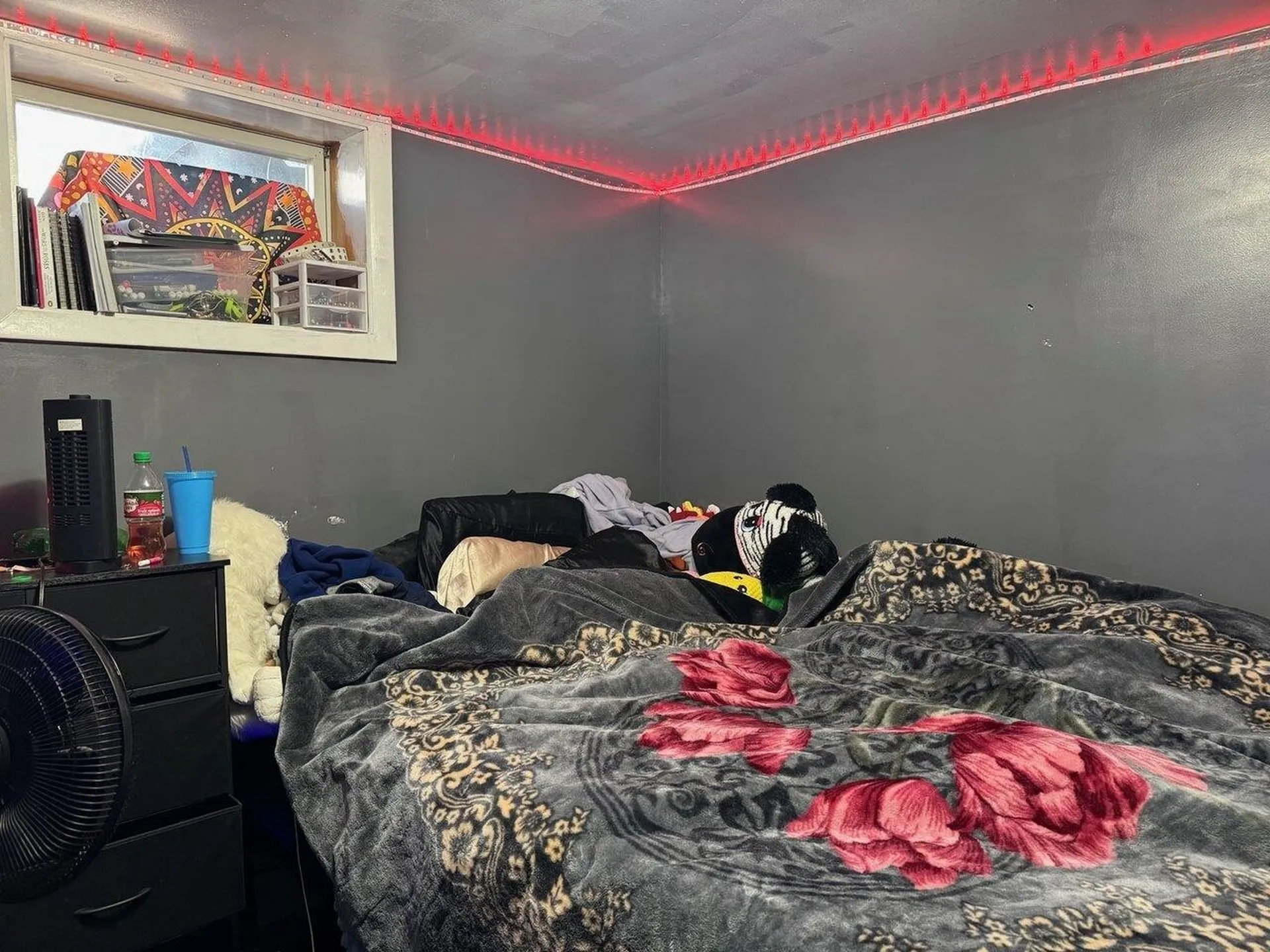 23 Berkley Street South Burlington VT 05403