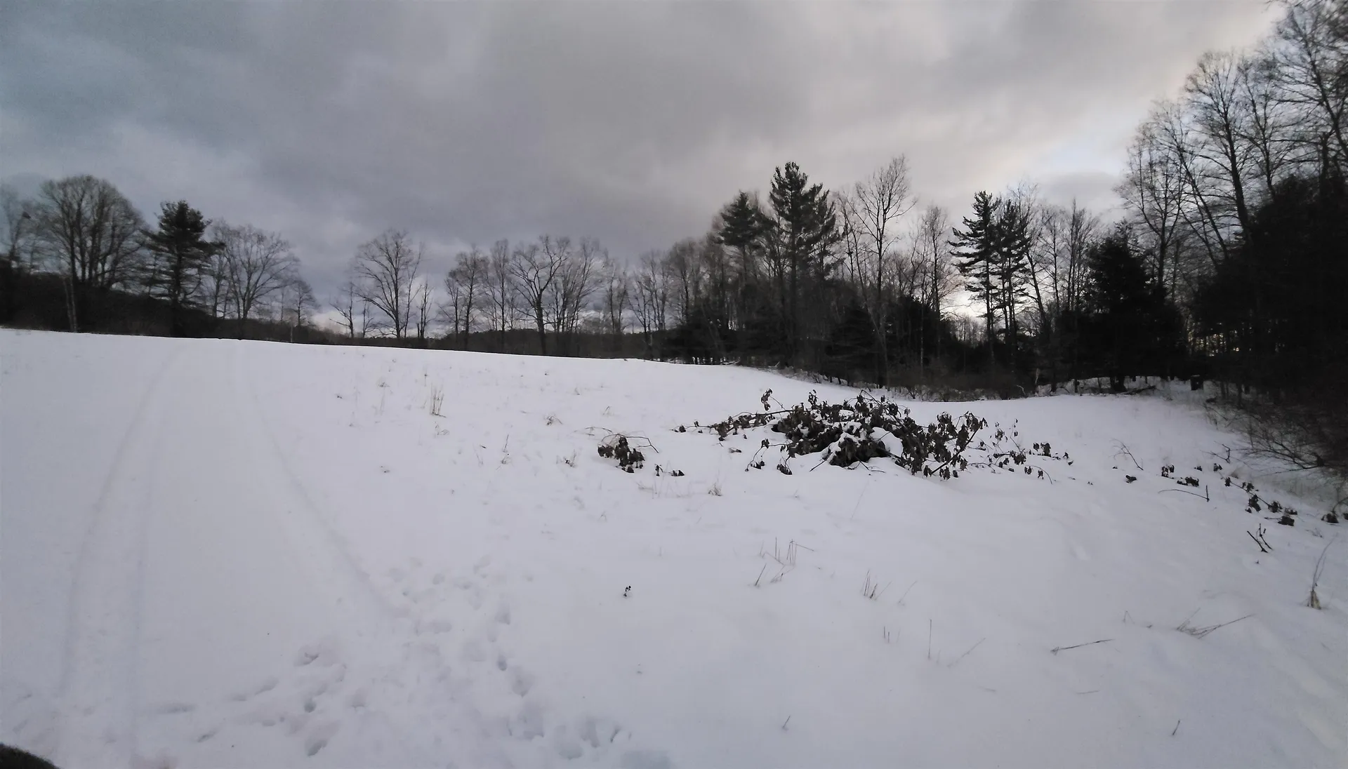 0 Brook Road Springfield VT 05156