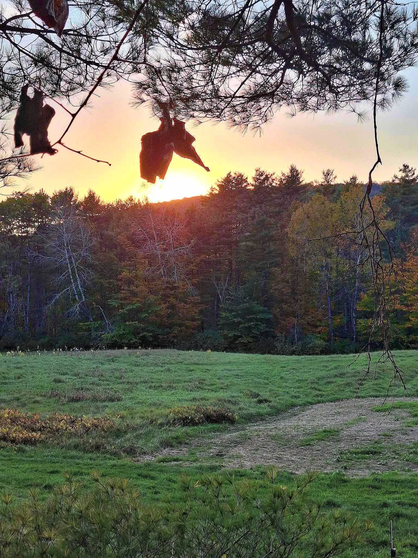 0 Brook Road Springfield VT 05156