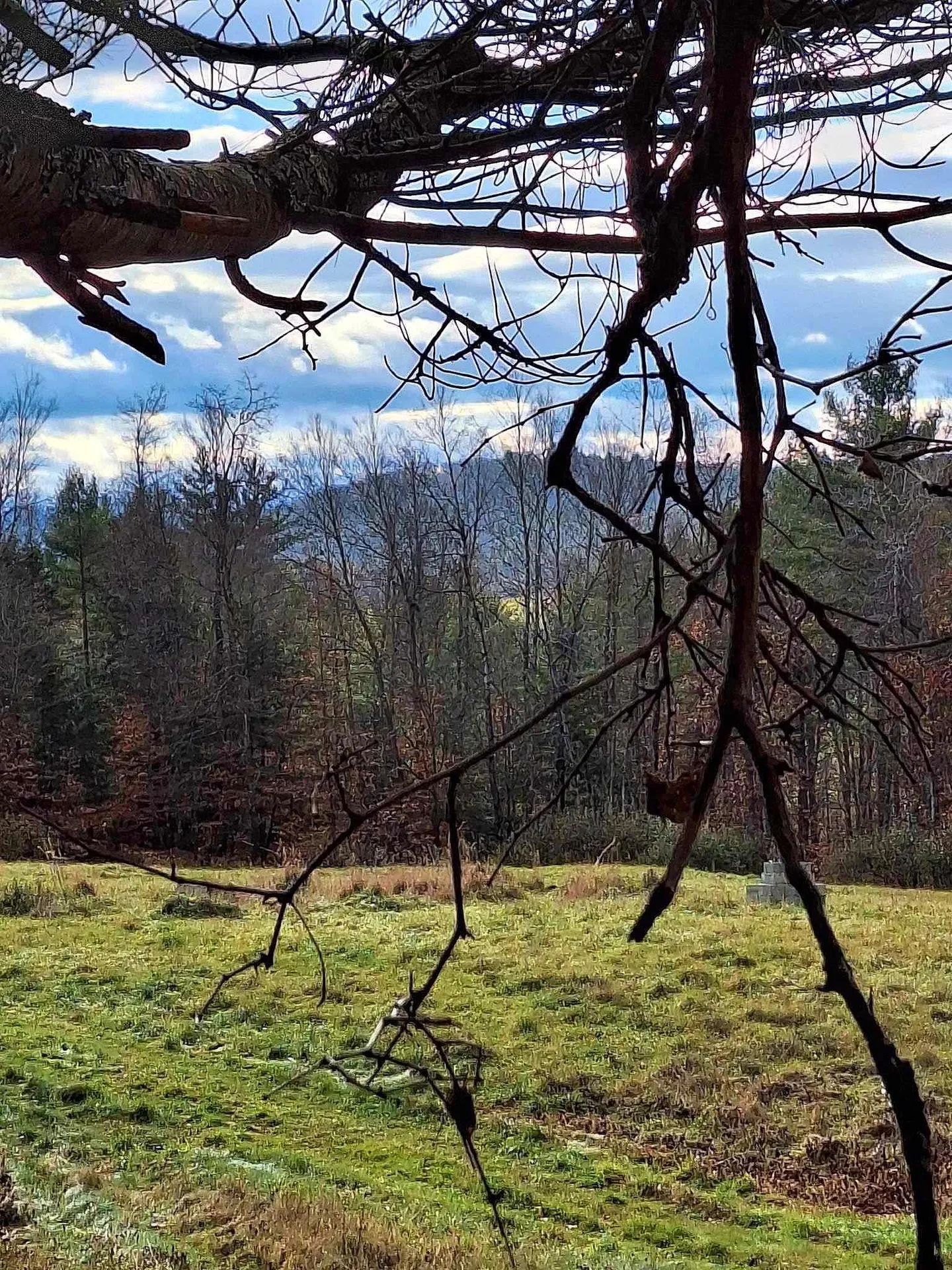 0 Brook Road Springfield VT 05156