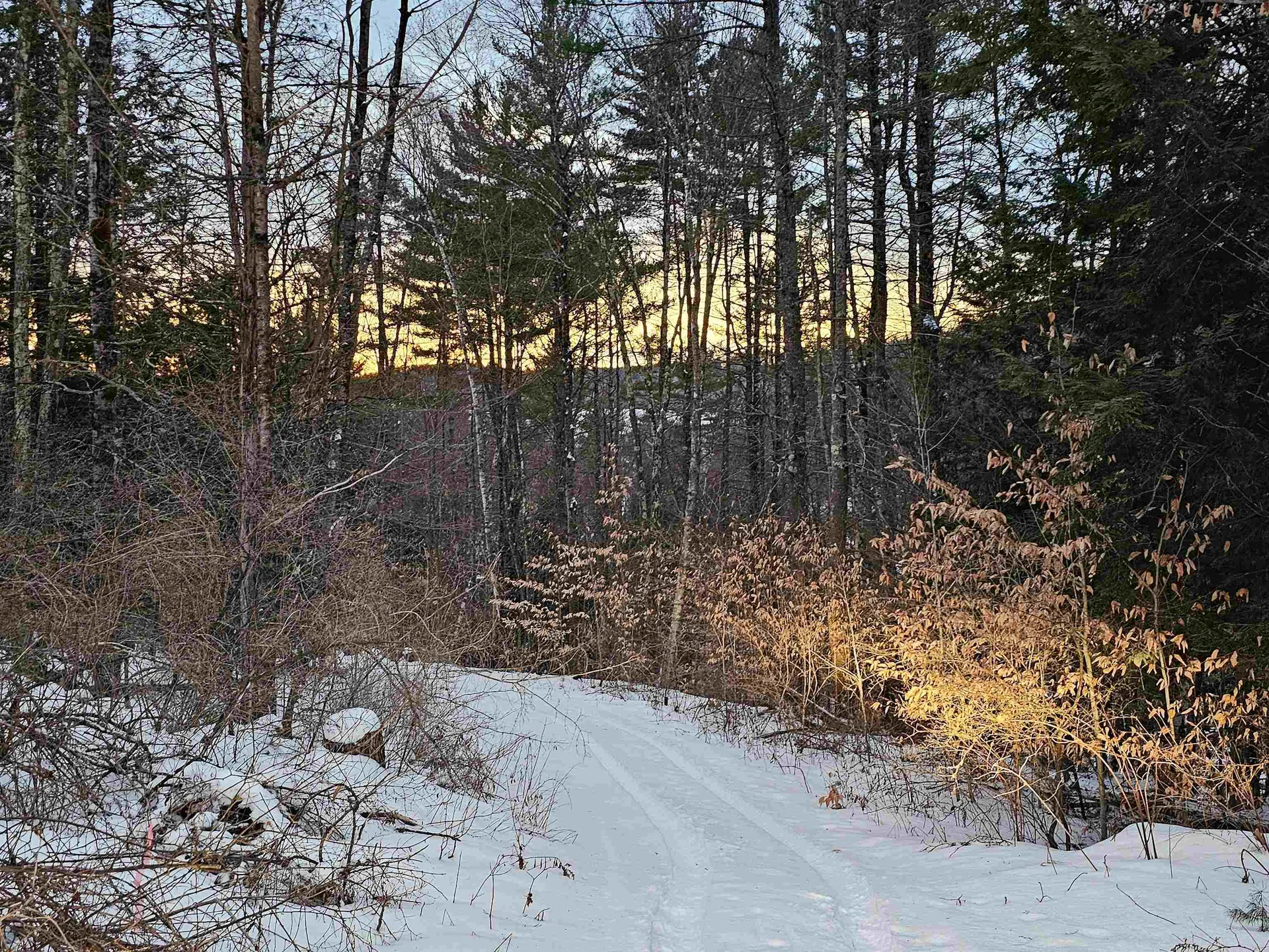 0 Brook Road Springfield VT 05156