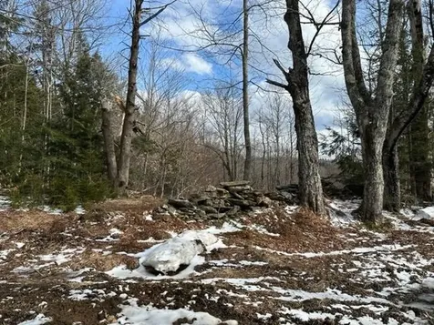 0 Smith Road Wilmington VT 05363