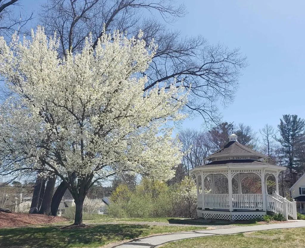 14 Monadnock Lane Merrimack NH 03054