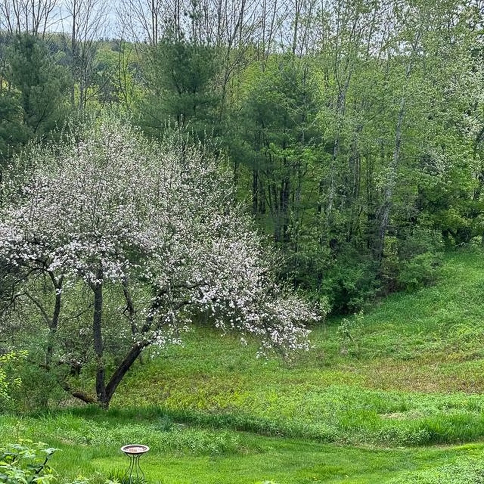 446 New Boston Road Norwich VT 05055