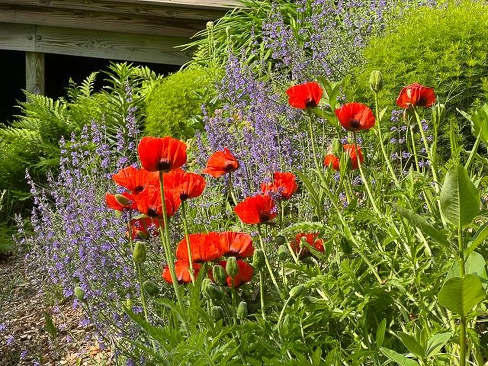 446 New Boston Road Norwich VT 05055