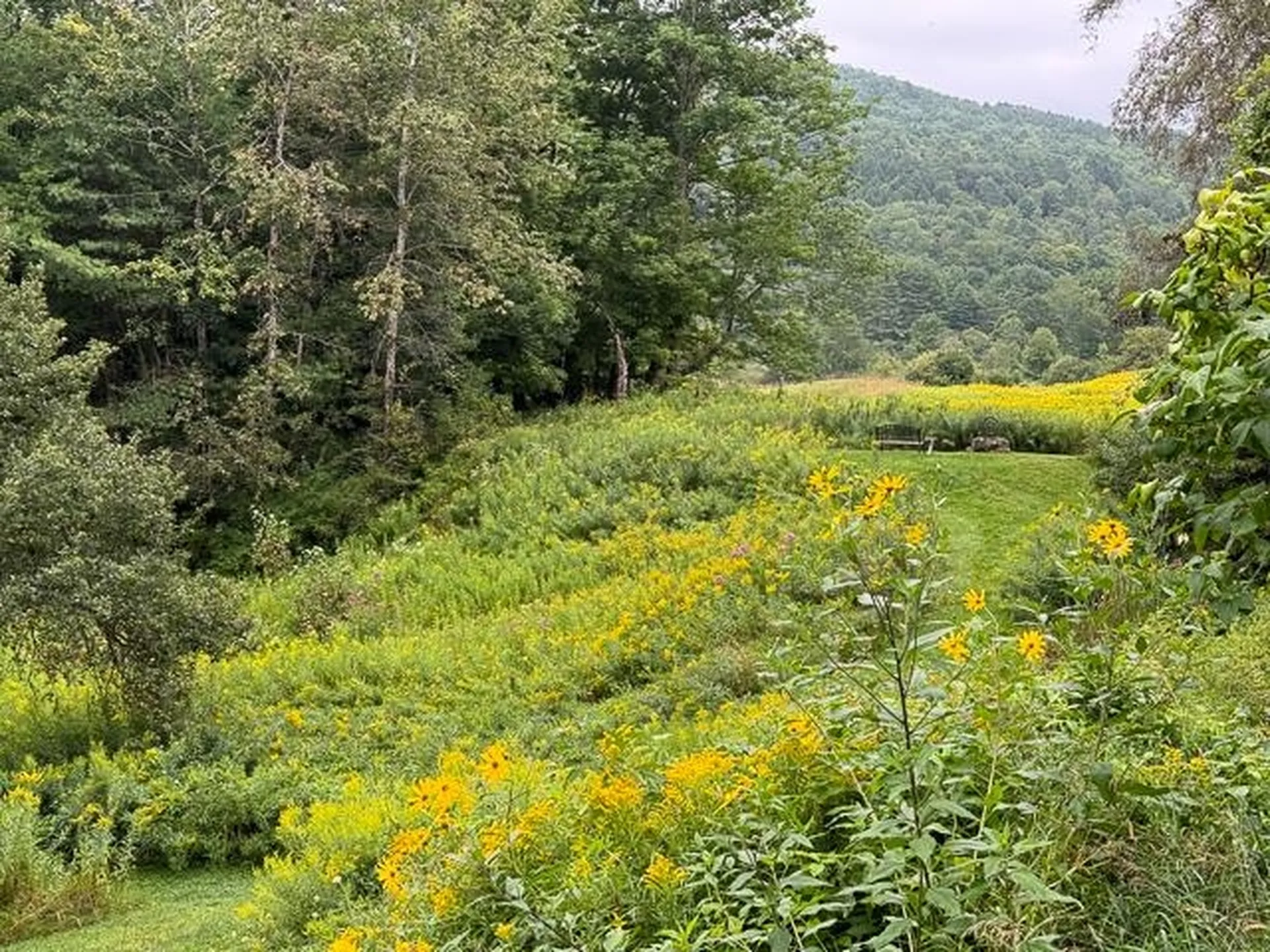 446 New Boston Road Norwich VT 05055