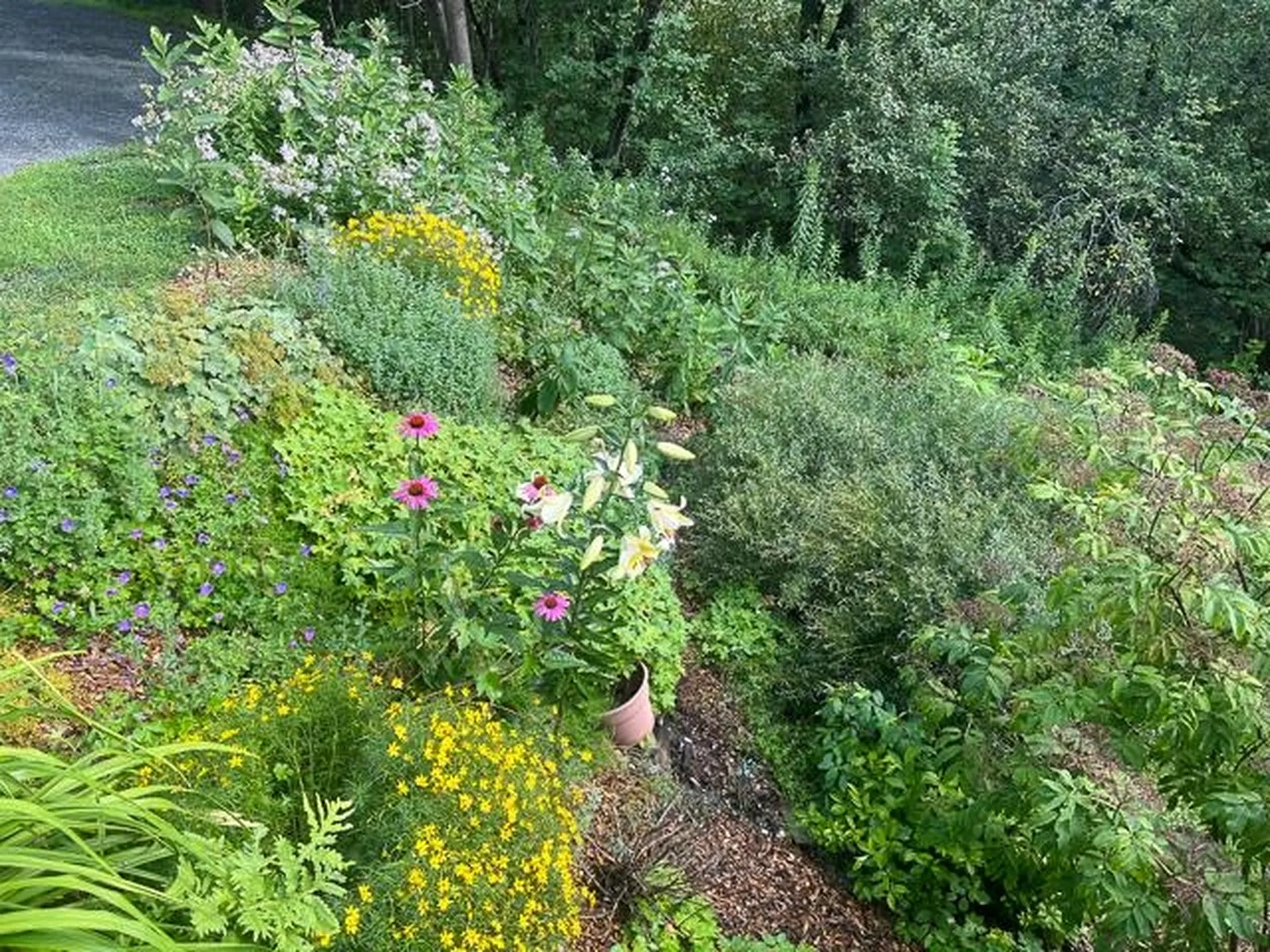 446 New Boston Road Norwich VT 05055