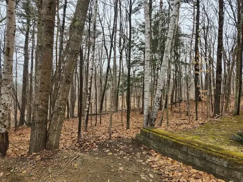 0 Dock Road Gilmanton NH 03237