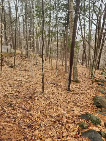 0 Dock Road Gilmanton NH 03237