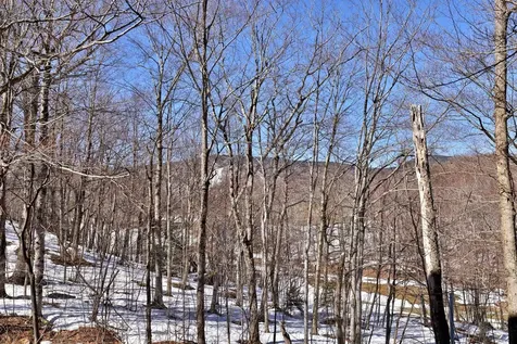 907 East Mountain Road Killington VT 05751