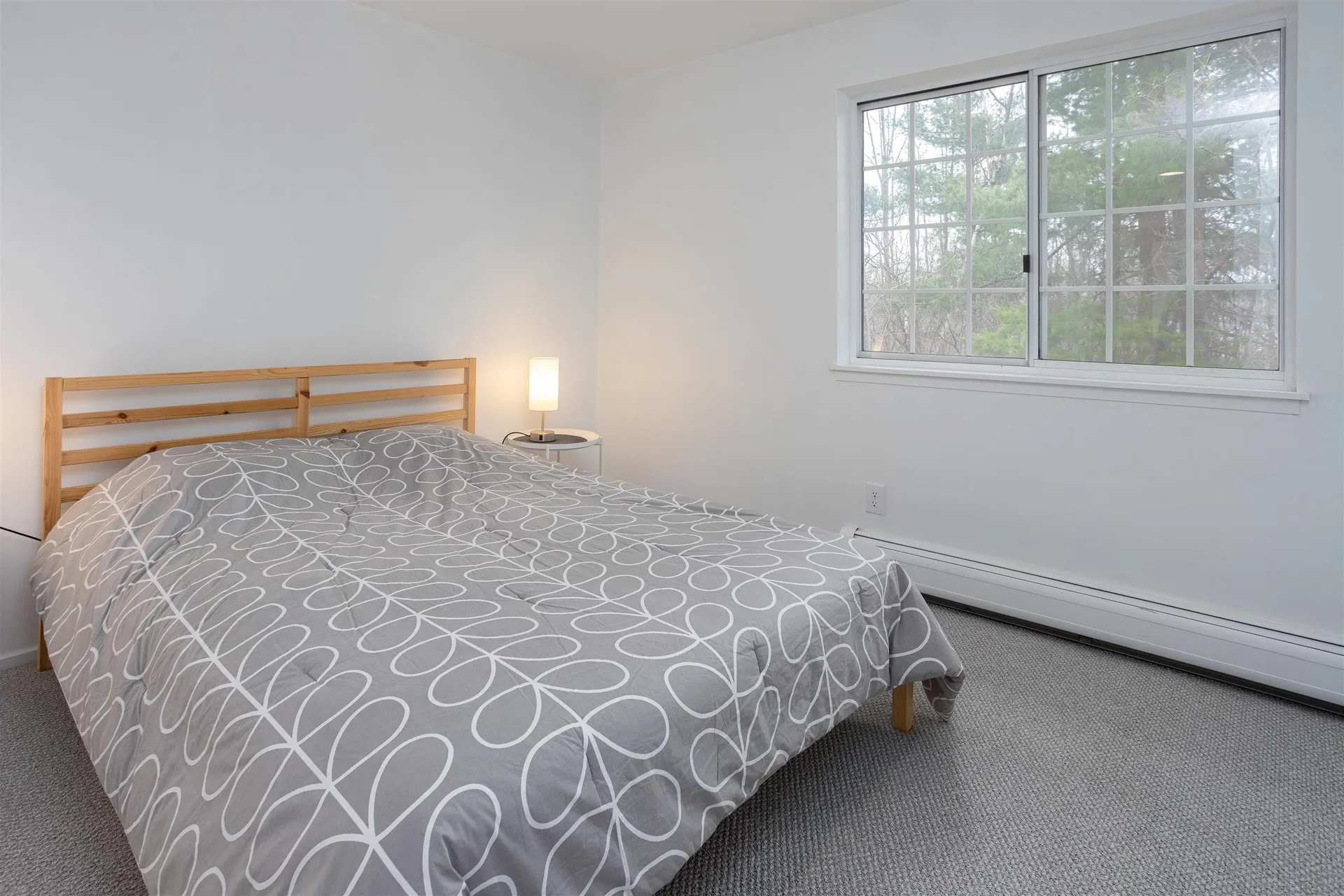 10 Lake Forest Drive Burlington VT 05401