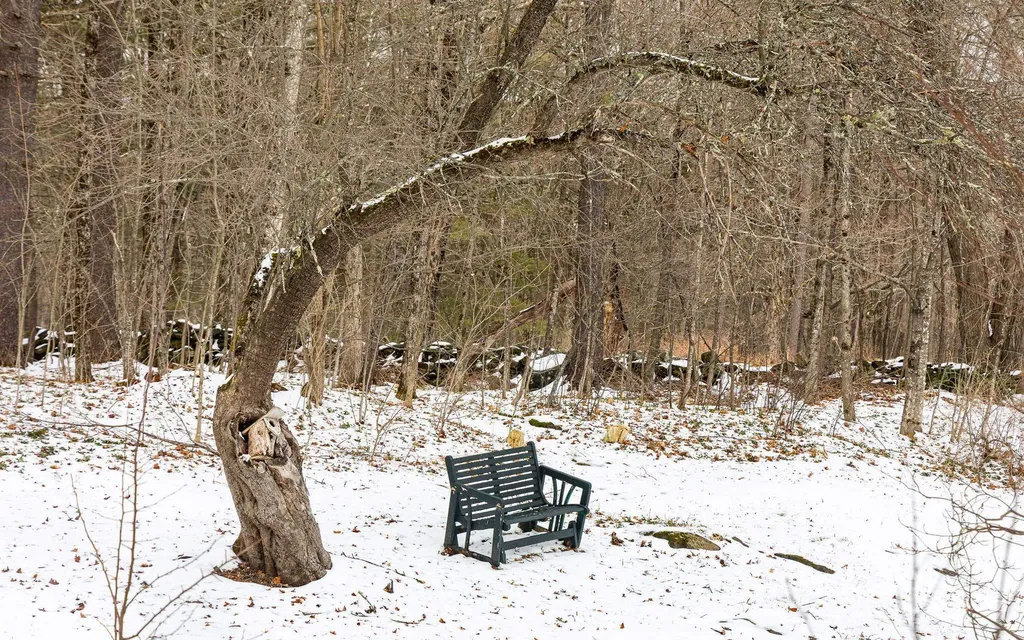 10 Cold Pond Road Acworth NH 03601