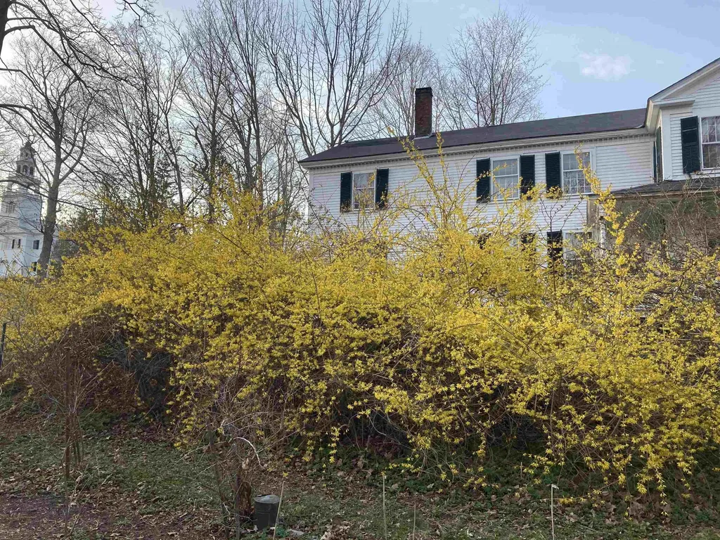 10 Cold Pond Road Acworth NH 03601