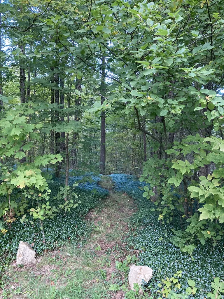 10 Cold Pond Road Acworth NH 03601