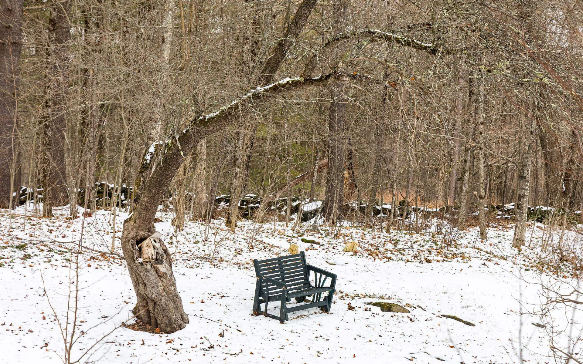 10 Cold Pond Road Acworth NH 03601