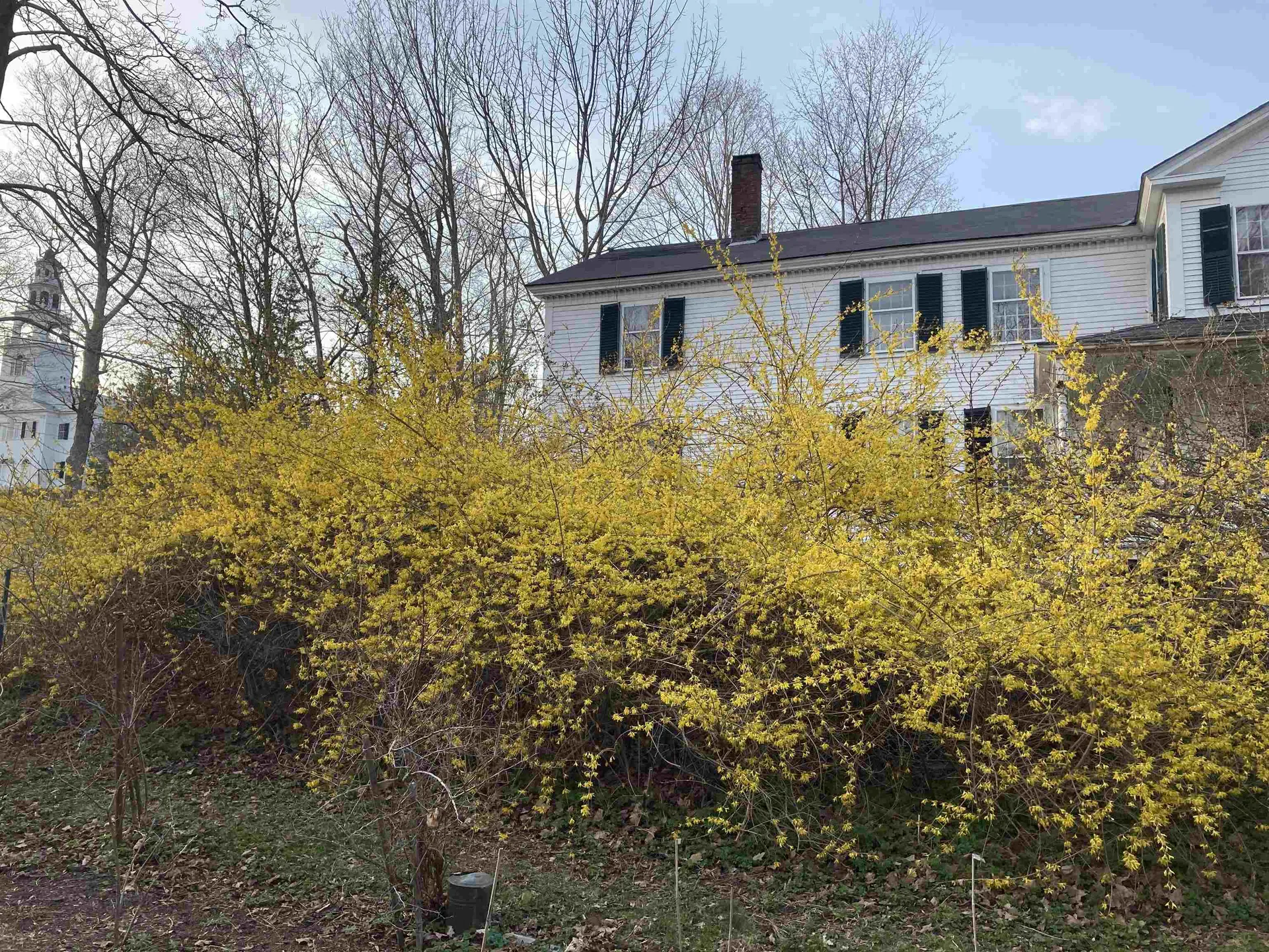 10 Cold Pond Road Acworth NH 03601