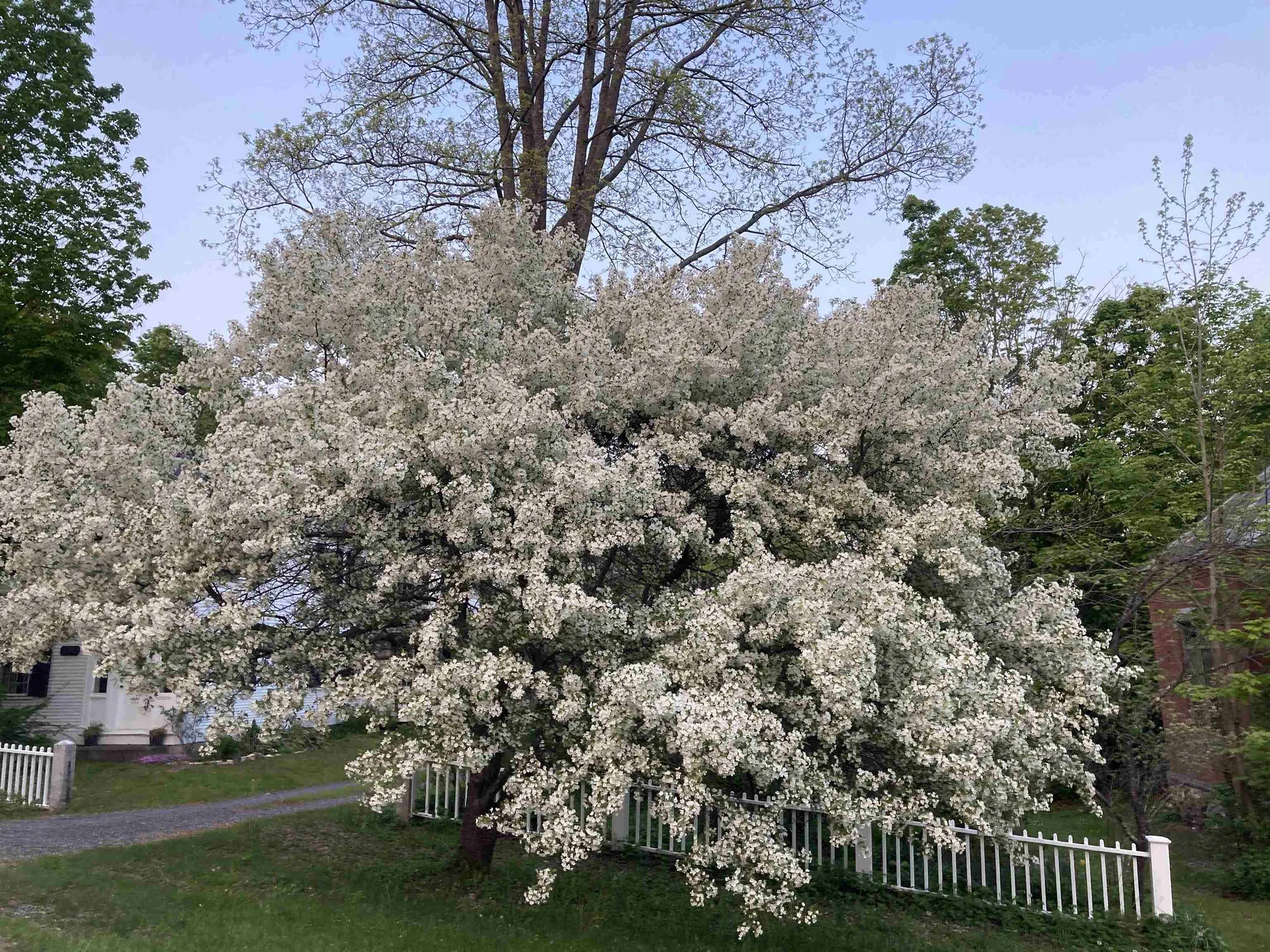 10 Cold Pond Road Acworth NH 03601