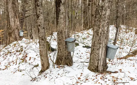 10 Cold Pond Road Acworth NH 03601