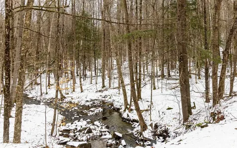 10 Cold Pond Road Acworth NH 03601