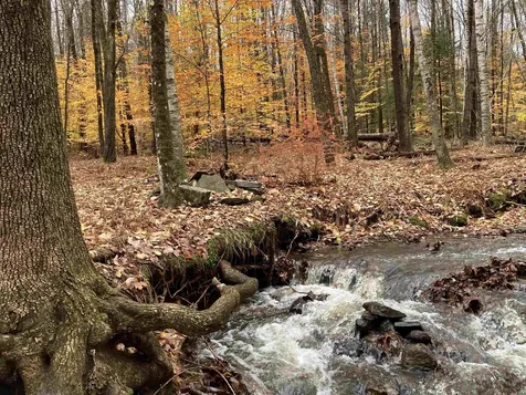 10 Cold Pond Road Acworth NH 03601