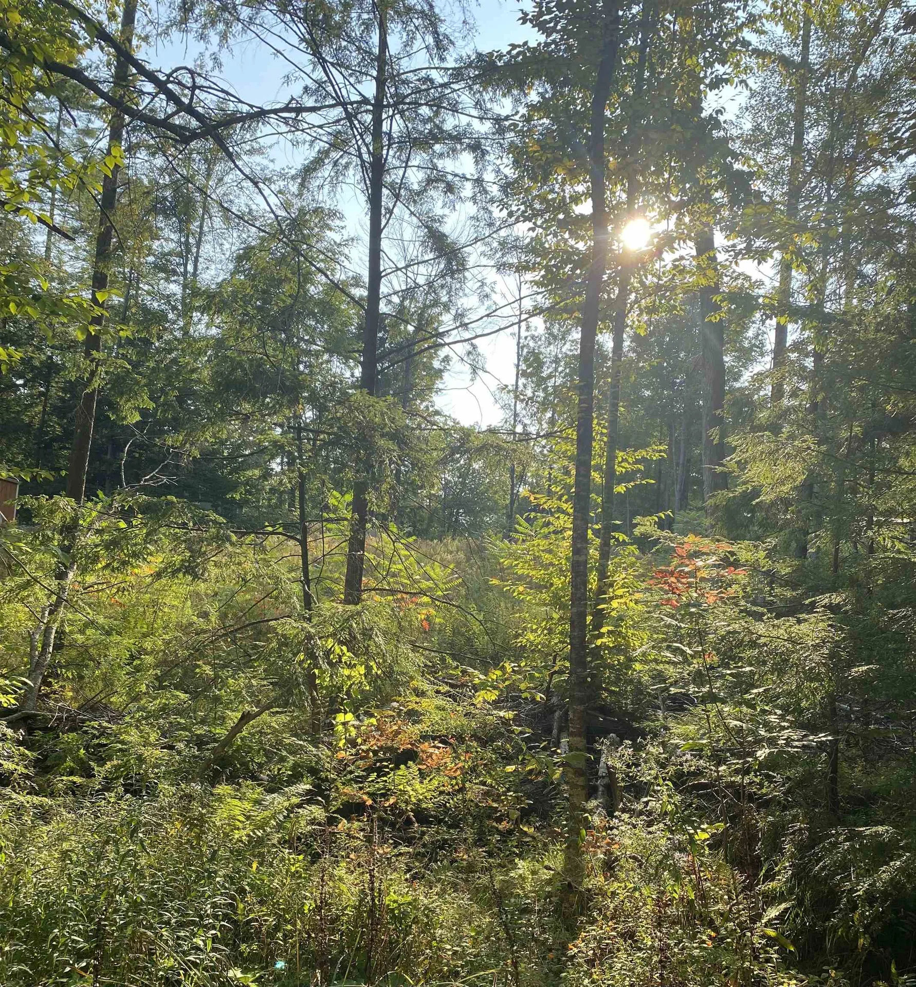 17 Autumn Road Hillsborough NH 03244