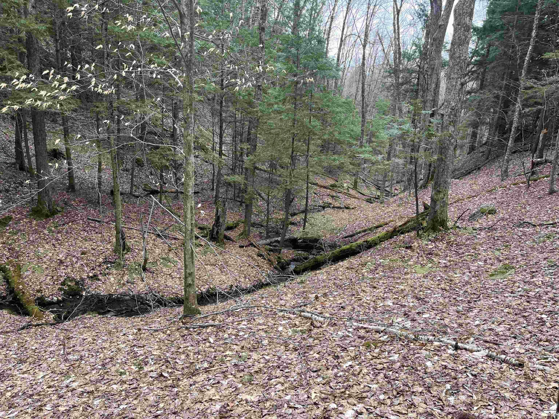 Lot 4 Haley Drive Hyde Park VT 05655