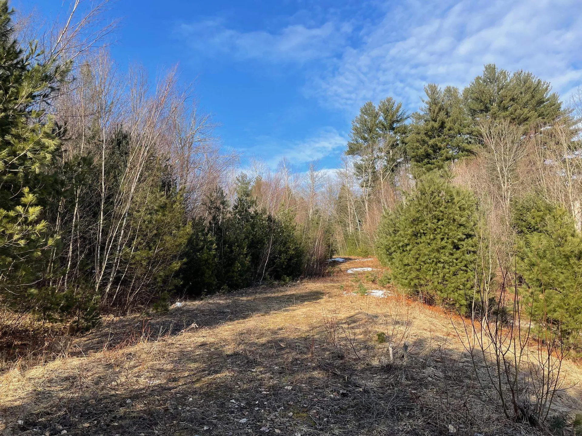 Lot 4 Haley Drive Hyde Park VT 05655