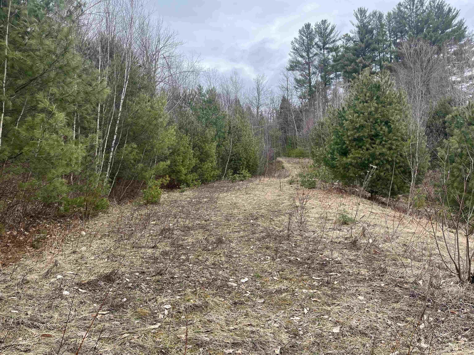 Lot 5 Haley Drive Hyde Park VT 05655