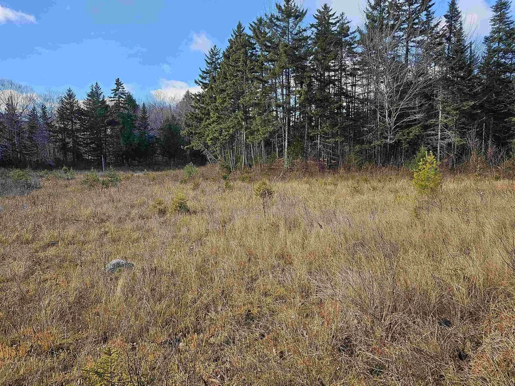 Lot 28 Knowles Hill Road West Alexandria NH 03222