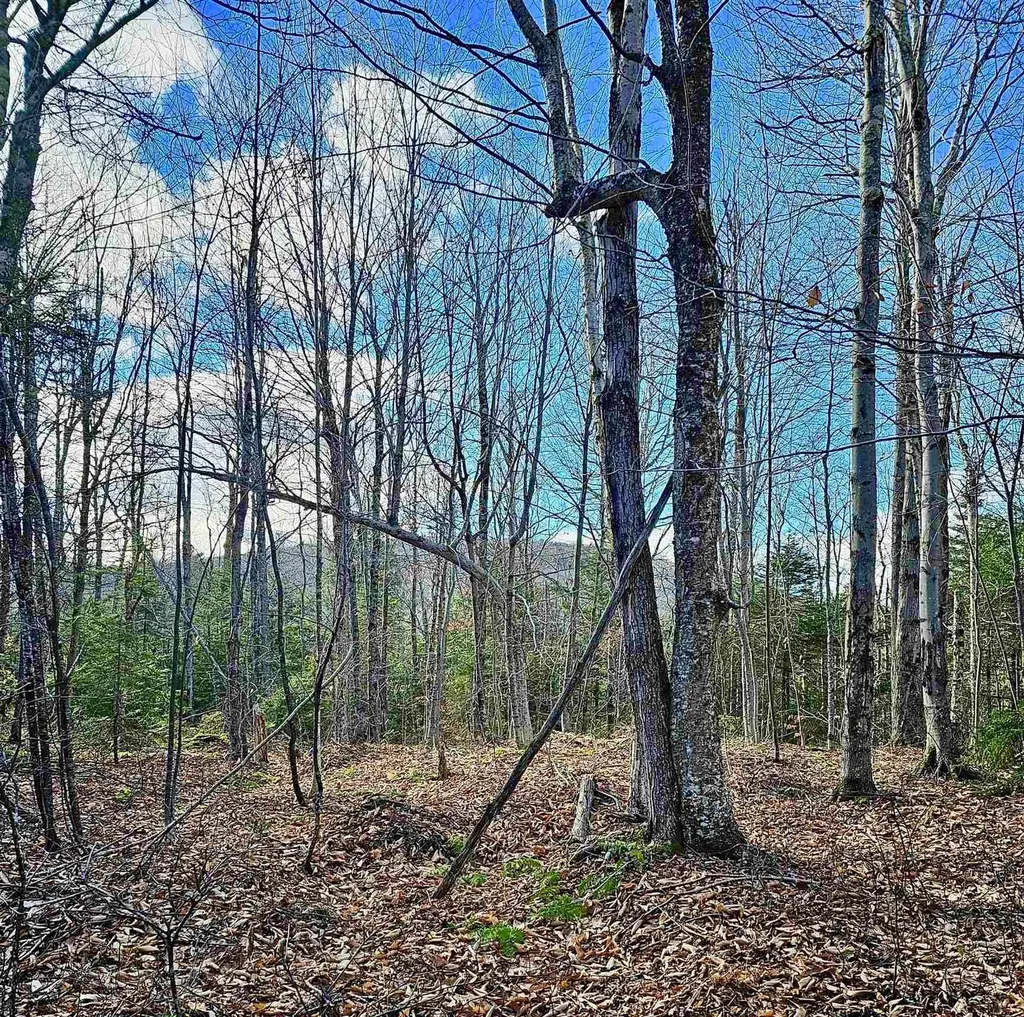 Lot 28 Knowles Hill Road West Alexandria NH 03222