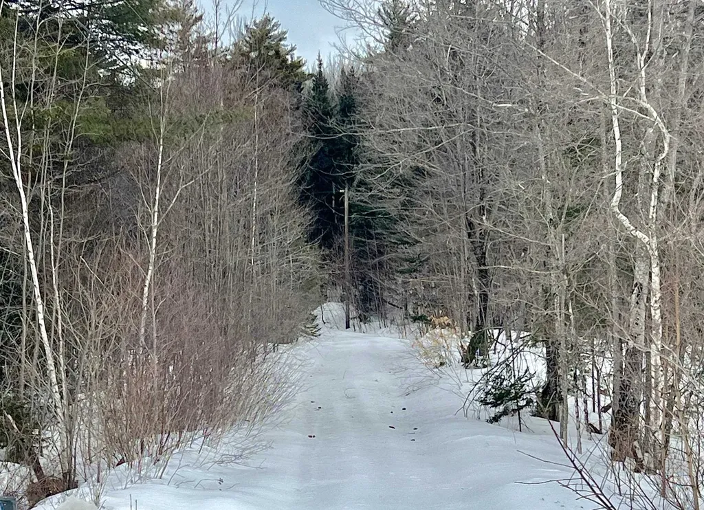 Lot 28 Knowles Hill Road West Alexandria NH 03222
