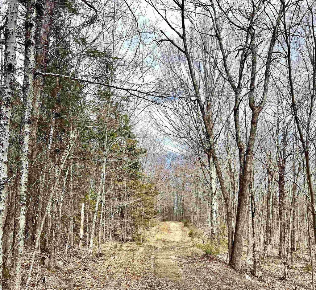 Lot 28 Knowles Hill Road West Alexandria NH 03222