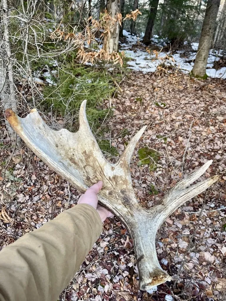 Lot 28 Knowles Hill Road West Alexandria NH 03222