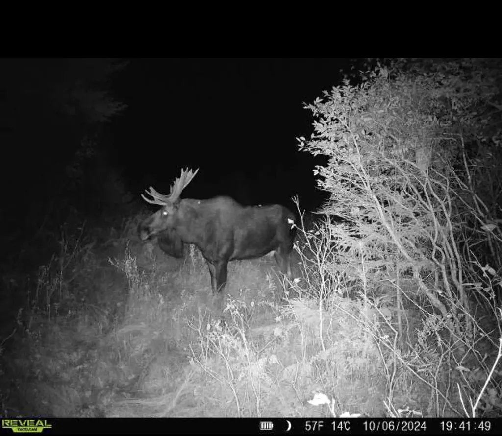 Lot 28 Knowles Hill Road West Alexandria NH 03222